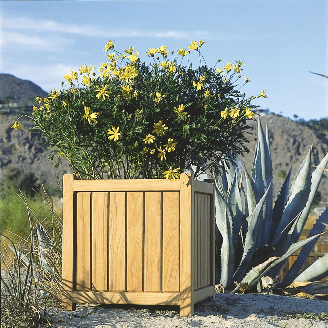 The Brookside planter combines Grade A teak construction with mortise and tenon joinery for exceptional durability. Weather-resistant design handles salt air, rain, and snow while aging to a distinguished silver-gray patina. - alternate view